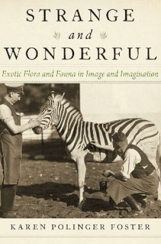 Cover of Strange and Wonderful