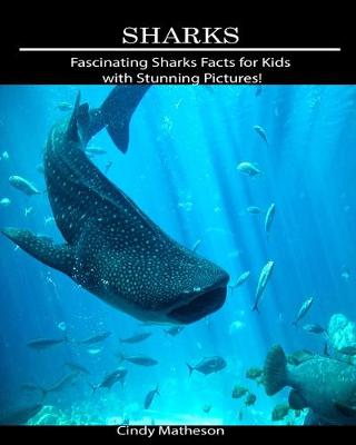 Book cover for Sharks