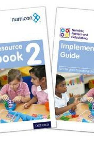 Cover of Number, Pattern and Calculating 2 Teaching Pack