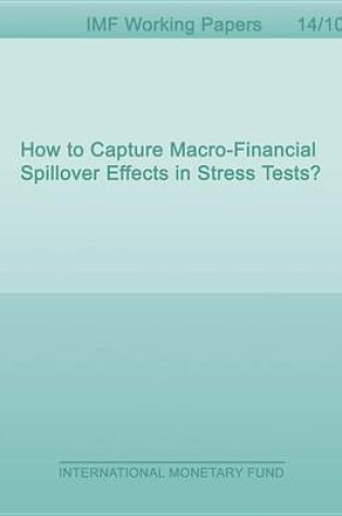 Cover of How to Capture Macro-Financial Spillover Effects in Stress Tests?