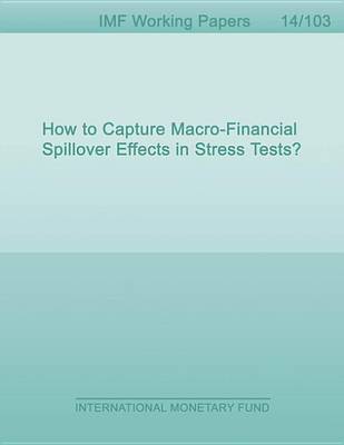 Book cover for How to Capture Macro-Financial Spillover Effects in Stress Tests?