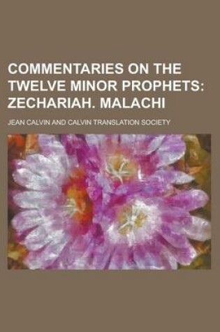 Cover of Commentaries on the Twelve Minor Prophets