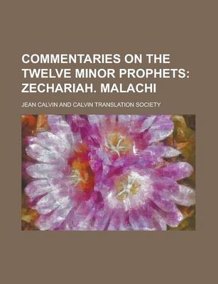 Book cover for Commentaries on the Twelve Minor Prophets