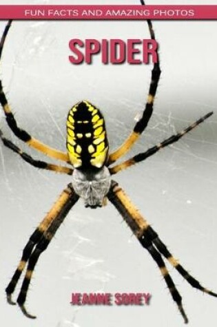 Cover of Spider