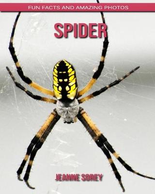 Book cover for Spider