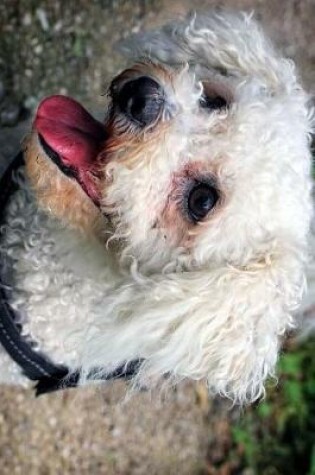 Cover of The Loving Eyes of a Bichon Frise Dog Journal