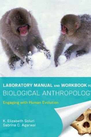 Cover of Laboratory Manual and Workbook for Biological Anthropology