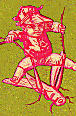 Cover of Cricket Boy