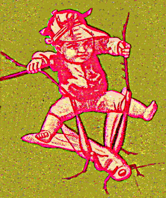 Book cover for Cricket Boy