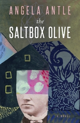 Book cover for The Saltbox Olive