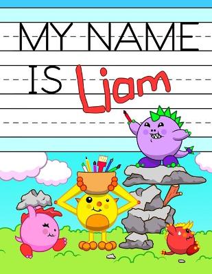 Book cover for My Name is Liam