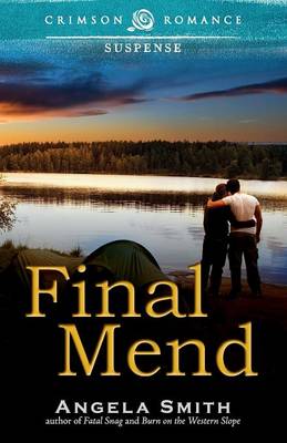 Book cover for Final Mend