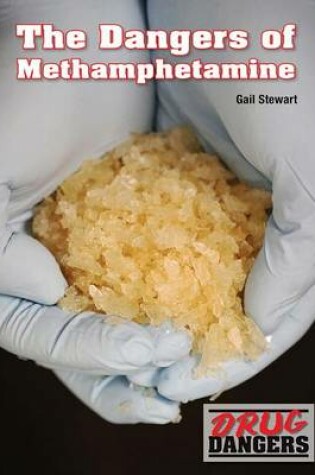 Cover of The Dangers of Methamphetamine