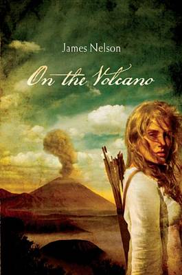 Book cover for On the Volcano