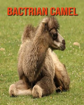 Book cover for Bactrian Camel