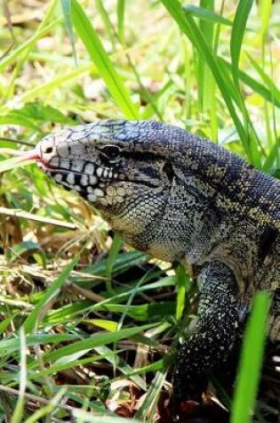 Cover of Gold Tegu Lizard Journal