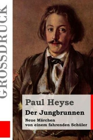 Cover of Der Jungbrunnen (Grossdruck)
