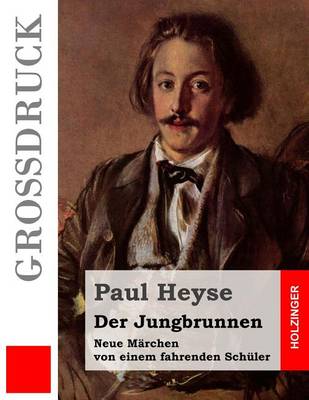 Book cover for Der Jungbrunnen (Grossdruck)