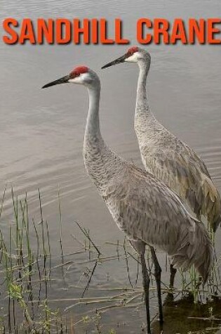 Cover of Sandhill Crane