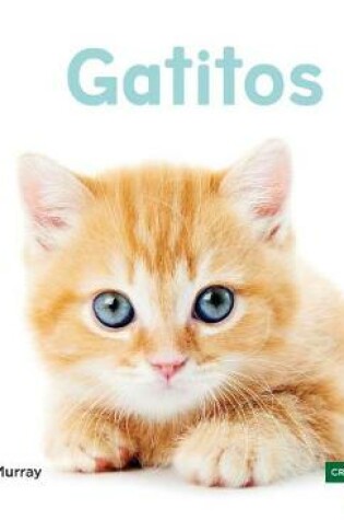 Cover of Gatitos (Kittens) (Spanish Version)