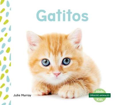Book cover for Gatitos (Kittens) (Spanish Version)
