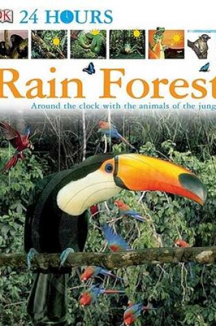 Cover of Rain Forest