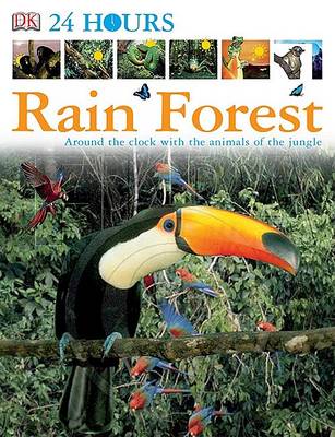 Book cover for Rain Forest