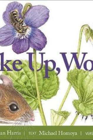 Cover of Wake Up, Woods