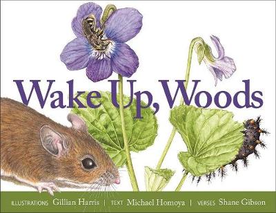 Book cover for Wake Up, Woods