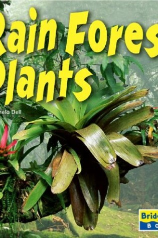 Cover of Rain Forest Plants