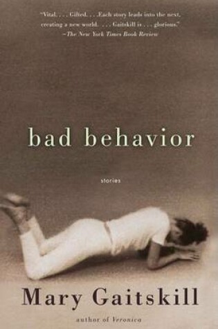 Cover of Bad Behaviour