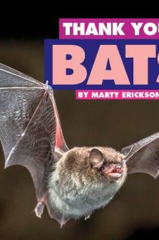 Cover of Thank You, Bats