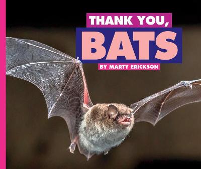 Book cover for Thank You, Bats