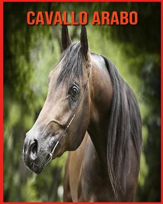 Book cover for Cavallo Arabo