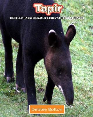 Book cover for Tapir