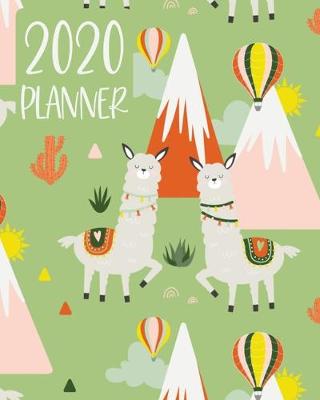 Book cover for 2020 Planner