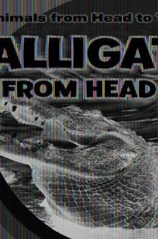 Cover of Alligators from Head to Tail