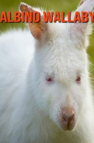 Cover of Albino Wallaby