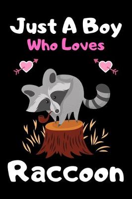 Book cover for Just a boy who loves raccoon