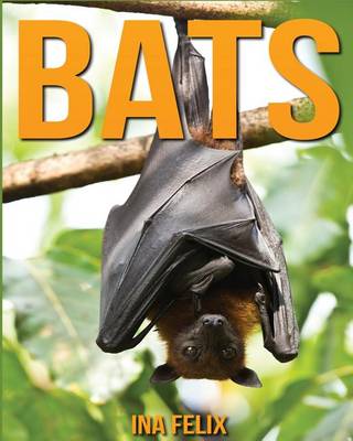 Book cover for Bats