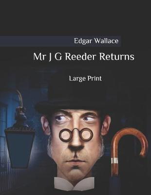 Book cover for Mr J G Reeder Returns
