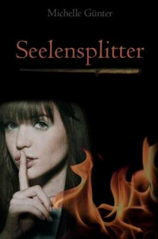 Cover of Seelensplitter