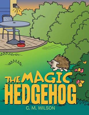 Book cover for The Magic Hedgehog