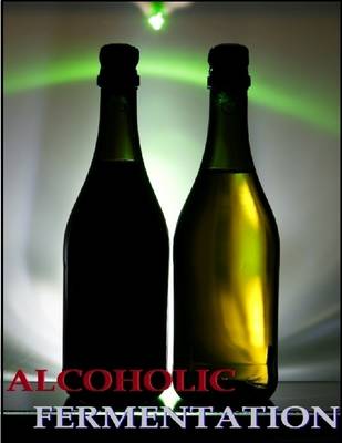 Book cover for Alcoholic Fermentation