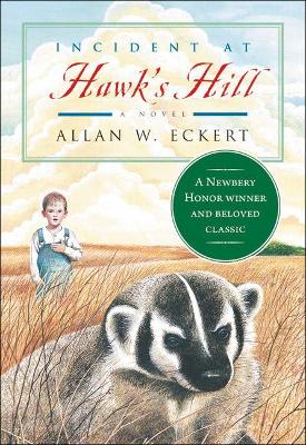 Book cover for Incident at Hawk's Hill