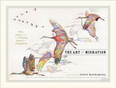 Book cover for Art of Migration