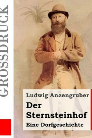 Cover of Der Sternsteinhof (Grossdruck)