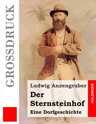 Book cover for Der Sternsteinhof (Grossdruck)