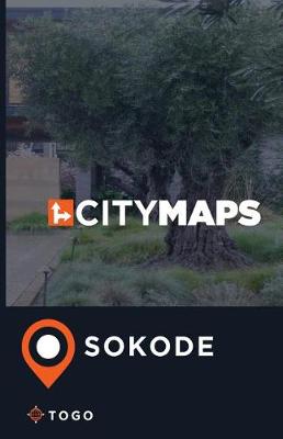 Book cover for City Maps Sokode Togo