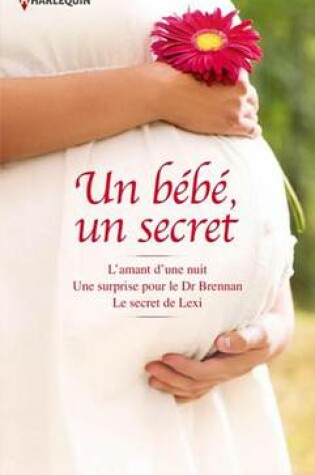 Cover of Un Bebe, Un Secret